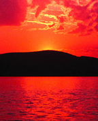 1059820_3688_profile