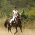 150578_27547_tiny