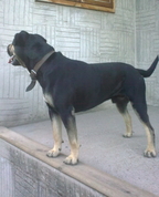 1616069_8519_profile