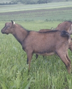 1616983_1354_profile