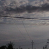 1061833_4900_tiny