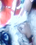 1624954_8890_profile