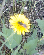 1629661_6356_profile