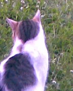 1062723_1009_profile
