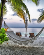 1602095_1117_profile