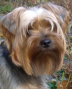 1602447_9612_profile