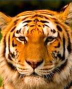 1637551_8464_profile