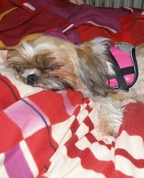 1644200_9950_profile