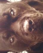 1656855_1703_profile