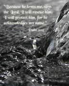 1605843_3901_profile