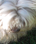 1605996_8350_profile