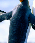 1668986_5785_profile