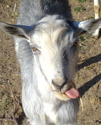 1669874_6850_profile