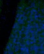 166160_49143_profile