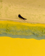 166954_38115_profile