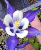 1670234_6094_profile