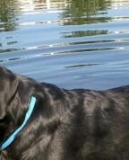 1680064_2104_profile