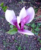 168679_23419_profile