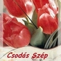 1069706_3451_card