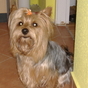 169513_12498_card