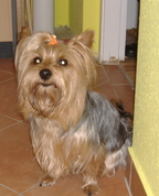 169513_12498_profile