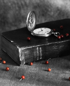 1600689_3341_profile