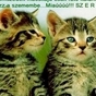 171429_39779_card