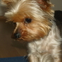 1072013_4212_card