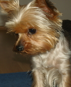 1072013_4212_profile