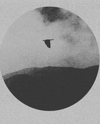 1730021_8283_profile