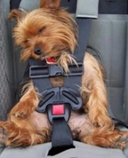 1741427_7688_profile