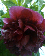 1745871_7611_profile