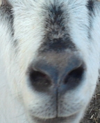 1704330_5207_profile