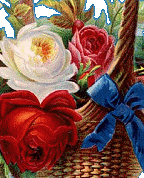 1704460_8871_profile