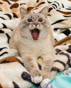 1755256_8856_profile