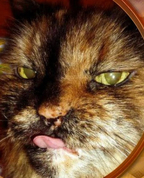 1757219_5805_profile