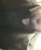 1763663_3841_profile