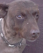 1767185_1802_profile