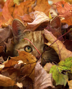 1767329_1565_profile