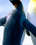 1767344_1334_profile