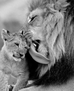 1706797_3130_profile