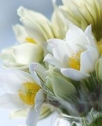 1760914_2343_profile