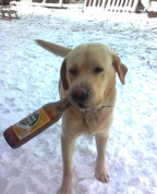 176944_36075_profile