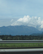 1773456_6789_profile