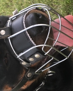 1777886_3178_profile