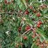 1779414_6412_tiny