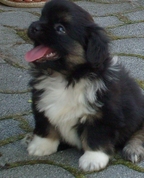 1077339_7973_profile