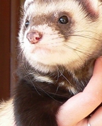 1770196_2594_profile