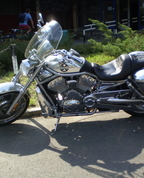 177584_21547_profile