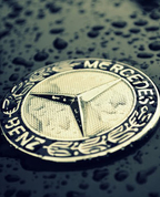 1789094_7812_profile